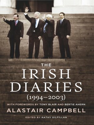 cover image of The Irish Diaries